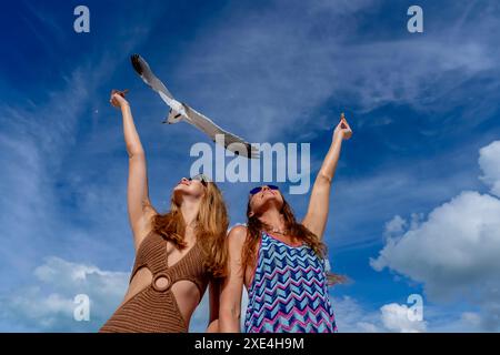 Seaside Serenity: Una splendida fuga con gabbiani e spuntini Foto Stock