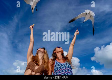 Seaside Serenity: Una splendida fuga con gabbiani e spuntini Foto Stock