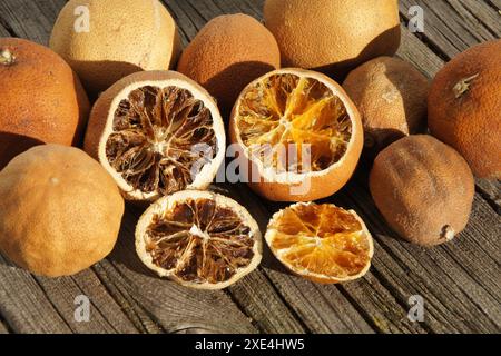 Agrumi, agrusfruechte, getrocknet, essiccati Foto Stock