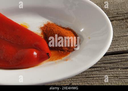 Capsicum annuum , Paprika, peperoncino rosso Foto Stock