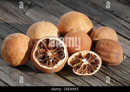 Agrumi, agrusfruechte, getrocknet, essiccati Foto Stock