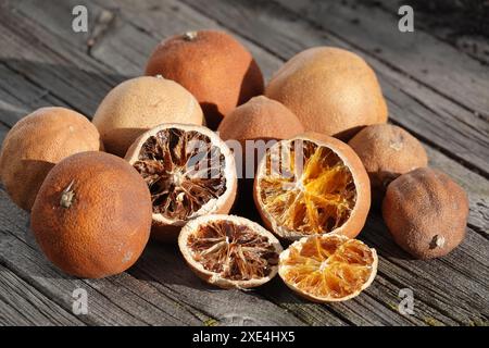 Agrumi, agrusfruechte, getrocknet, essiccati Foto Stock