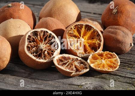 Agrumi, agrusfruechte, getrocknet, essiccati Foto Stock