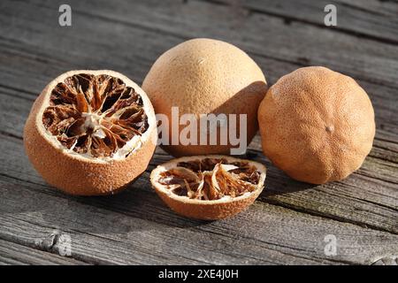 Agrumi, agrusfruechte, getrocknet, essiccati Foto Stock