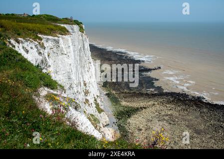 Le Bianche Scogliere di Dover nel Kent area a sud-est dell' Inghilterra Foto Stock