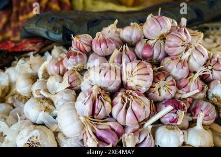 Capi d'aglio nel mercato Foto Stock