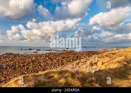 Geografia / viaggi, Francia, Normandia, luce serale sulla costa a Cap Lévi vicino a Fermanville, DIRITTI AGGIUNTIVI-CLEARANCE-INFO-NON-DISPONIBILE Foto Stock