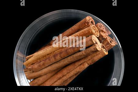 Cannella corteccia in un bicchiere dall'alto. Bastoncini di corteccia cruda di Ceylon e cannella indonesiana, Cinnamomum verum e C. burmanni. Foto Stock