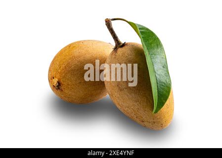 Frutta di Sapodilla con foglia verde isolata su sfondo bianco. Foto Stock