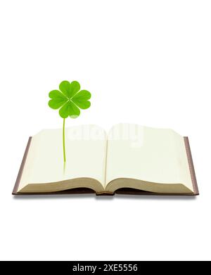 Libro e quadrifoglio Foto Stock