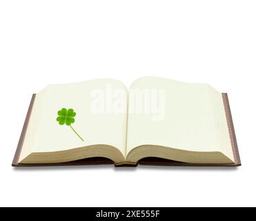 Libro e quadrifoglio Foto Stock