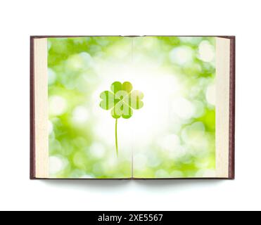 Libro e quadrifoglio Foto Stock