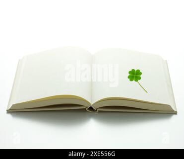 Libro e quadrifoglio Foto Stock