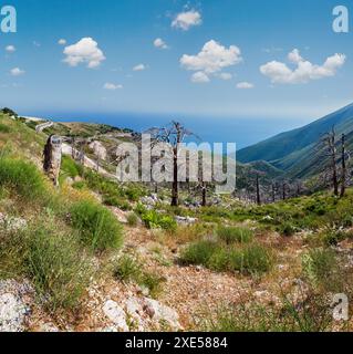 Estate Llogara pass, Albania Foto Stock