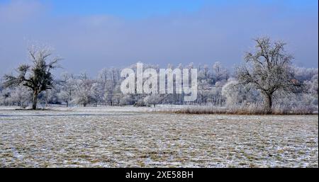Paesaggio invernale con frutteti e foreste Foto Stock