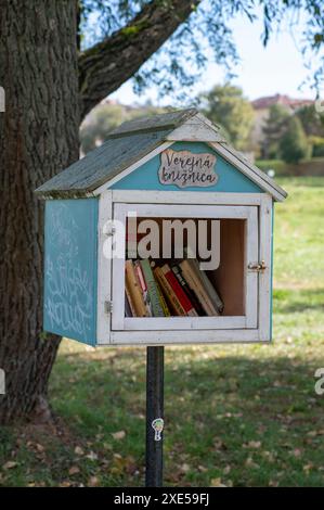 Zvolen, Slovacchia - 8 ottobre 2023: Piccola biblioteca in legno (Verejna Kniznica) in un parco pubblico periferico della città di Zvolen. SL Foto Stock