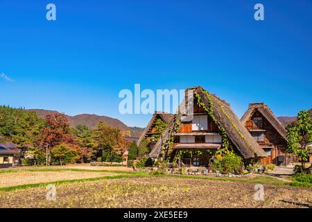 Villaggio di Shirakawago Gifu Giappone, storica casa tradizionale giapponese di Gassho nel villaggio di Shirakawa nella stagione autunnale del fogliame Foto Stock