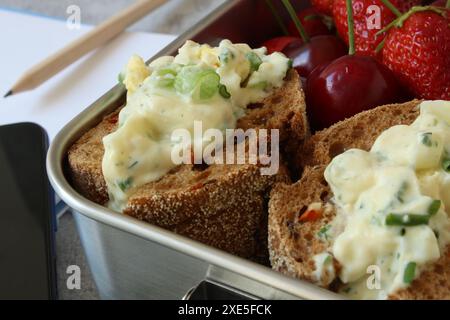 Pausa snack sana: Sandwich con insalata di uova e frutti di bosco in scatola per pranzo in acciaio inox Foto Stock