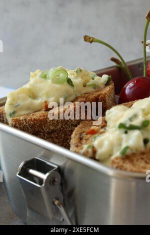 Pausa snack sana: Sandwich con insalata di uova e frutti di bosco in scatola per pranzo in acciaio inox Foto Stock