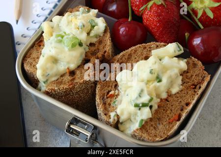 Pausa snack sana: Sandwich con insalata di uova e frutti di bosco in scatola per pranzo in acciaio inox Foto Stock