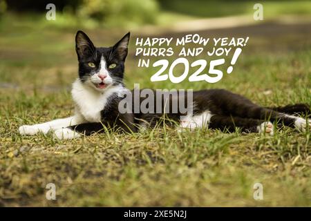 Un simpatico gatto bianco e nero steso sull'erba con un saluto festoso "buon anno Meow! Purr e gioia nel 2025!” scritto accanto ad esso, ambiente esterno, ce Foto Stock