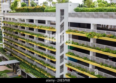 Un parcheggio a più piani piantato con piante verdi sulle sporgenze. Singapore. Foto Stock