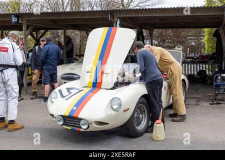 1955 AC Ace-Bristol di Nigel Winchester nel paddock prima della gara del Peter Collins Trophy al Goodwood 81st Members Meeting 2024, Sussex, Regno Unito. Foto Stock