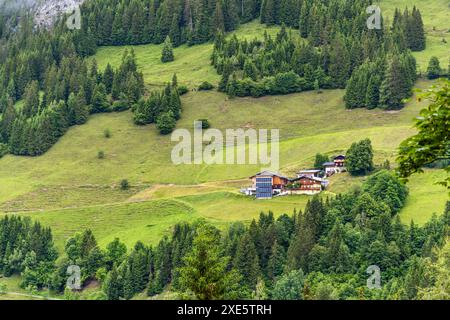 Una fattoria alpina con pannelli solari sul tetto si trova in una radura boschiva nella regione di Salisburgo, Lambach, Großarl, Salisburgo, Austria. Un sentiero stretto attraversa il prato montano verde fino alla fattoria, circondata da foresta di conifere. Foto Stock