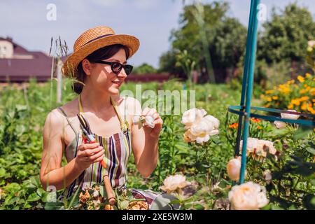 Ritratto di donna decapitata spesa rosa anche crescendo sull'obelisco nel giardino estivo. Il giardiniere taglia i fiori secchi con la potatrice. Prendersi cura del pla Foto Stock