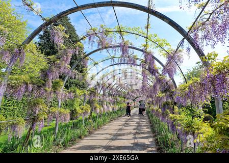 Visitatori che si godono una prima giornata di sole nelle prime estati presso il RHS, i giardini della Royal Horticultural Society a Wisley Surrey, Inghilterra, Regno Unito Foto Stock