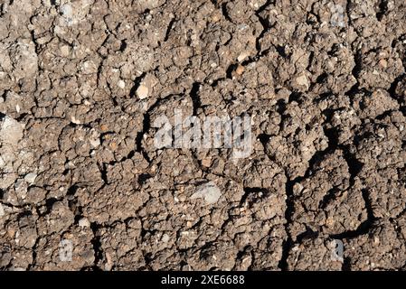 Fondo smerigliato asciutto e incrinato. Immagine concettuale del riscaldamento globale Foto Stock