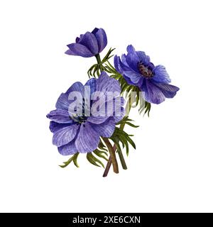 Illustrazione floreale acquerello . Composizione floreale da fiori anemoni Foto Stock