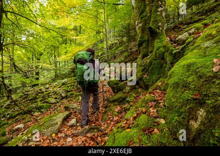 Bosque de Bordes Foto Stock