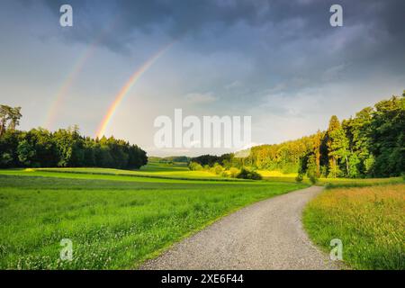 Atmosfera serale di tempeste con arcobaleno su strada sterrata lussureggiante foresta mista verde. Zurigo Oberland, Zurigo, Svizzera Foto Stock