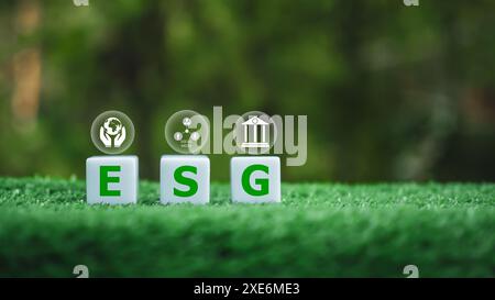 Un gruppo di tre cubi bianchi con le lettere ESG scritte su di essi, i cubi sono posizionati su un campo erboso verde, creando un senso di armonia e balan Foto Stock