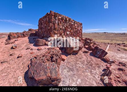 Primo piano della storica Agate House nel Petrified Forest National Park, Arizona, Stati Uniti d'America, Nord America Copyright: StevenxLove 1311-90 Foto Stock