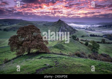 Parkhouse Hill all'alba da Chrome Hill, vicino a Longnor, Peak District National Park, Derbyshire, Inghilterra, Regno Unito, Europa Copyright: AlanxNovell Foto Stock