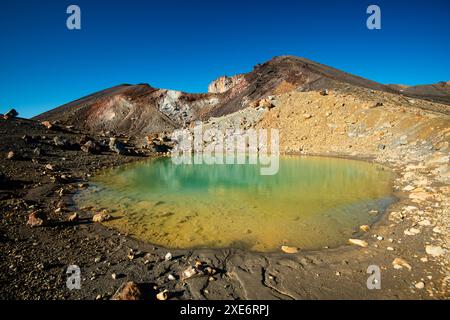 Riva del Lago di Smeraldo, sfumatura di colore naturale vibrante con vista sul vulcano del cratere rosso del Parco Nazionale del Tongariro, sito Patrimonio dell'Umanità dell'UNESCO, Foto Stock