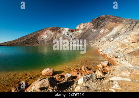 Riva del Lago di Smeraldo, sfumatura di colore naturale vibrante con vista sul vulcano del cratere rosso del Parco Nazionale del Tongariro, sito Patrimonio dell'Umanità dell'UNESCO, Foto Stock