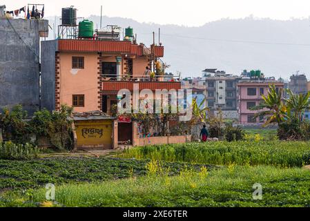Case colorate e campi agricoli, Nepal, Asia Copyright: CasparxSchlageter 1372-354 Foto Stock