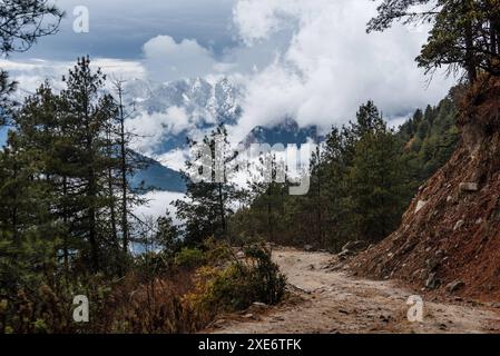 Inizio della valle di Langtang trekking in Nepal con percorso verso le montagne innevate dell'Himalaya Ganesh Himal, Nepal, Asia Copyright: CasparxSchlage Foto Stock