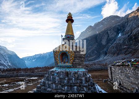 Enlightenment Stupa in un'alta valle himalayana di Lang Tang Trek, Himalaya, Nepal, Asia Copyright: CasparxSchlageter 1372-389 Foto Stock