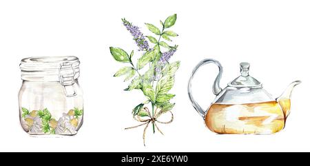 Set tema tè alle erbe. Teiera di vetro, vaso con fiori di camomilla, mazzo di ciuffi verdi di menta succosa con fiori. Elementi di progettazione per blog, siti Web, Foto Stock