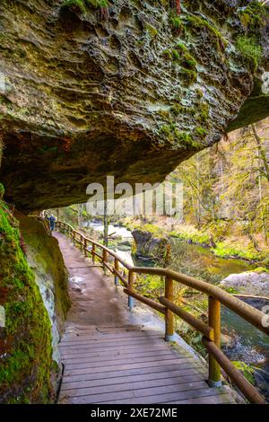 Una passerella di legno si snoda attraverso una gola panoramica nella Svizzera boema, in Cechia. Una grande roccia sovrasta il sentiero, offrendo ombra mentre gli escursionisti esplorano la bellezza naturale della zona. Foto Stock