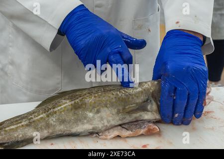 Uomo che prova l'elasticità della pelle di un merluzzo catturato. Foto Stock