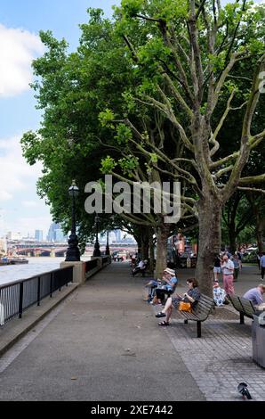 Persone sedute su panchine a guardare il Tamigi, Southbank, Londra, Inghilterra. Foto Stock