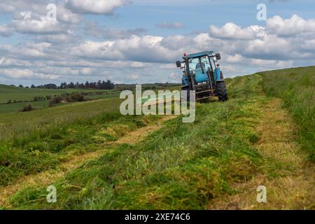 Knocknageehy, West Cork, Irlanda. 22 aprile 2024. Dopo mesi di piogge intense, gli agricoltori stanno finalmente tagliando l'erba per l'insilato. Allevatore di manzo pedigree, Keit Foto Stock