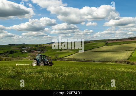 Knocknageehy, West Cork, Irlanda. 22 aprile 2024. Dopo mesi di piogge intense, gli agricoltori stanno finalmente tagliando l'erba per l'insilato. Allevatore di manzo pedigree, Keit Foto Stock