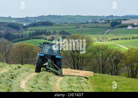 Knocknageehy, West Cork, Irlanda. 22 aprile 2024. Dopo mesi di piogge intense, gli agricoltori stanno finalmente tagliando l'erba per l'insilato. Allevatore di manzo pedigree, Keit Foto Stock