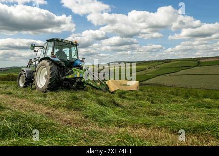 Knocknageehy, West Cork, Irlanda. 22 aprile 2024. Dopo mesi di piogge intense, gli agricoltori stanno finalmente tagliando l'erba per l'insilato. Allevatore di manzo pedigree, Keit Foto Stock